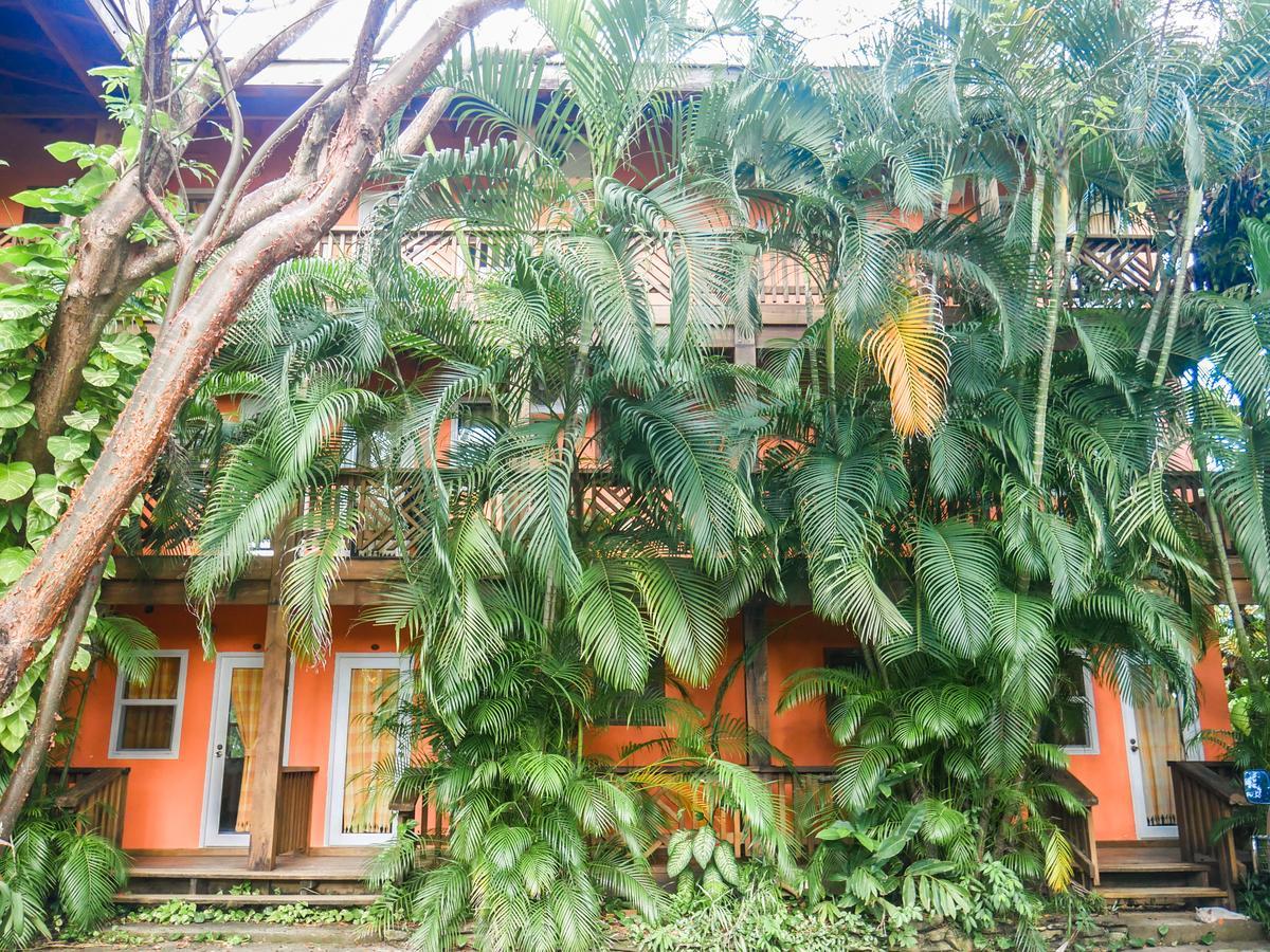 Hotel Posada Las Orquideas,West End Exterior foto